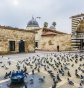 Adana Ulu Cami Tanıtımı