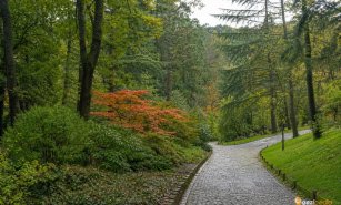 Atatürk Arboretumu