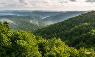 Belgrad Ormanı Tanıtımı