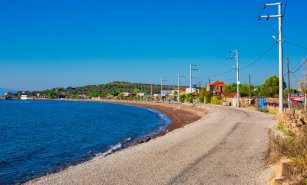 Çanakkale Sokakağzı Tanıtımı