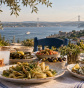 Çanakkale'de Ne Yenir? (Çanakkale'deki En İyi Restoran ve Kahvaltı Mekanları)
