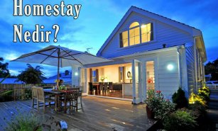 Homestay Nedir?