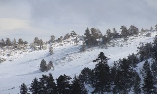 Kartalkaya Kış Turizmi İçin En Doğru Adres