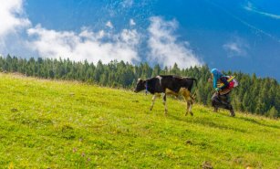 Pokut Yaylası Tanıtımı