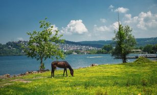 Sapanca’da Gezilecek Yerler