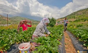 Sason’da Gezilecek Yerler