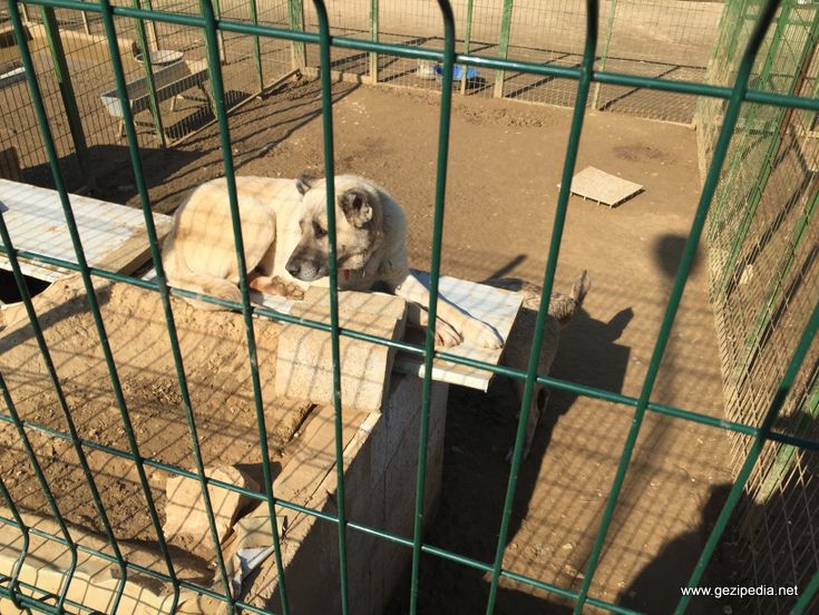 Bursa Atatürk Kent Ormanı 11