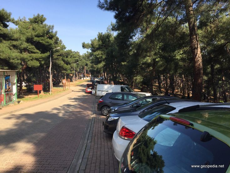 Bursa Atatürk Kent Ormanı 16