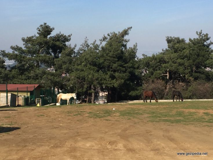 Bursa Atatürk Kent Ormanı 10