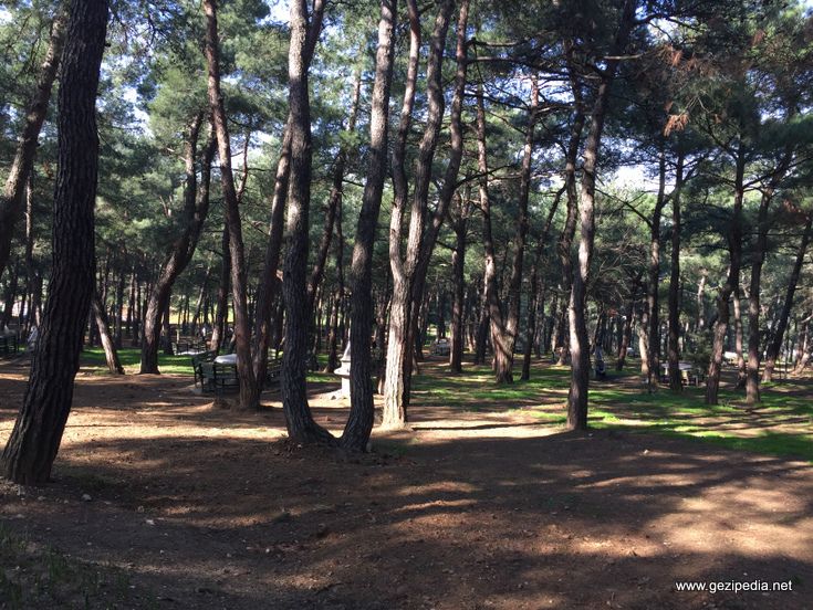 Bursa Atatürk Kent Ormanı 3
