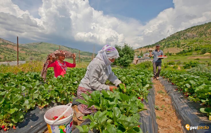 Sason gezilecek yerler