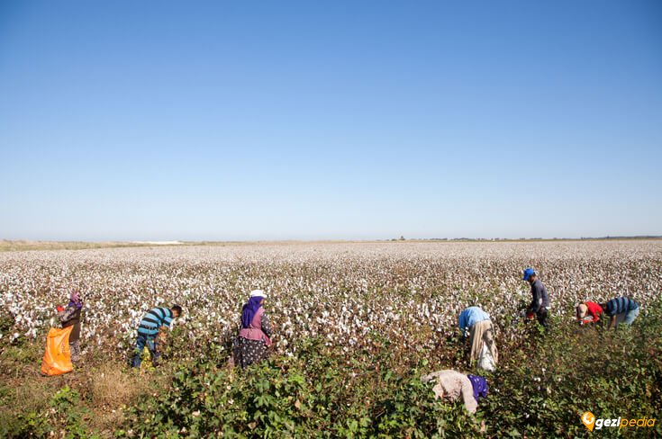 Çukurova gezilecek yerler