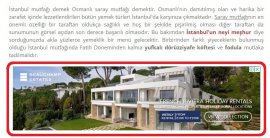 Tek konu içi reklam