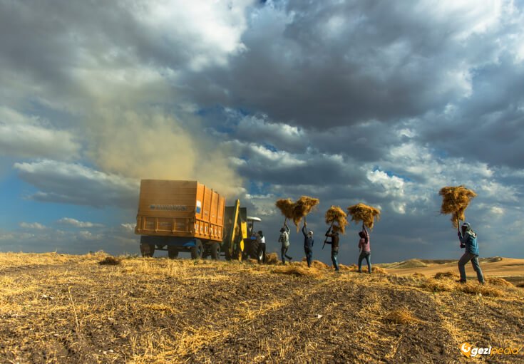 Bismil gezilecek yerler