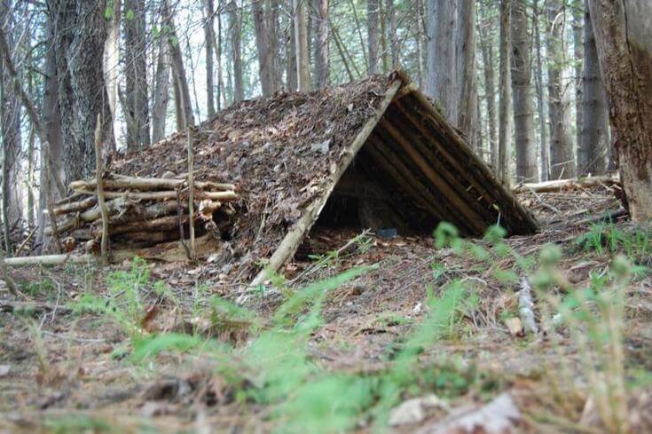 Doğada Barınma Şekilleri