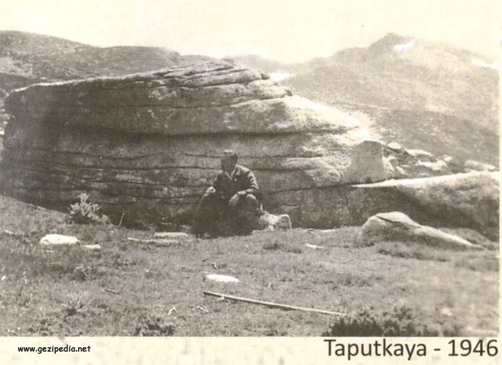 Taputkaya