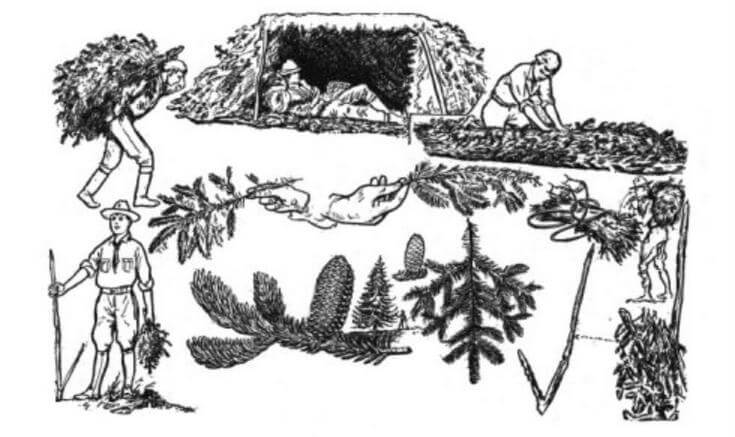 Doğada Barınak Yapımı