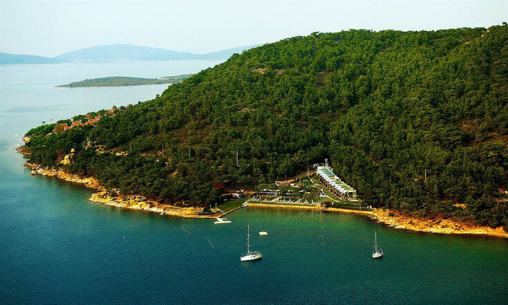 Ortunç Koyu Kamp Alanı