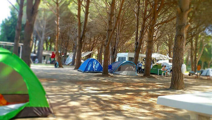 Kapıdağ Camping