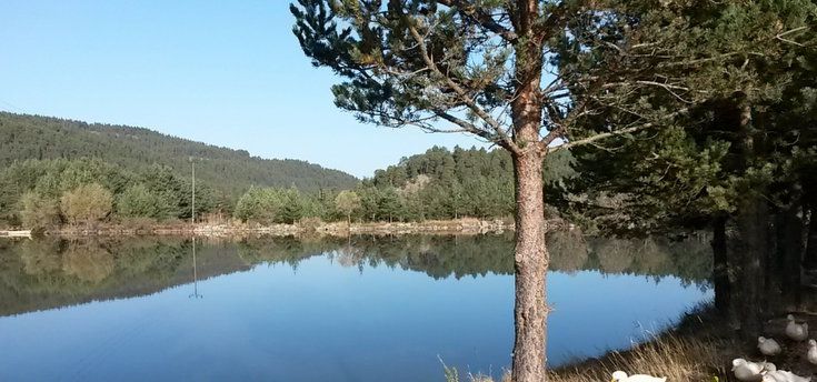 ankara kamp alanları 6