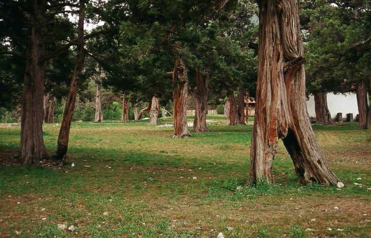 ankara kamp alanları 8