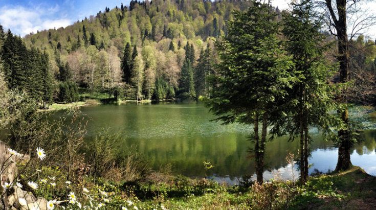 karadeniz kamp alanları 2