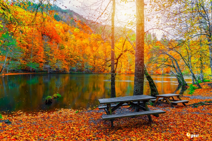 karadeniz kamp alanları 5