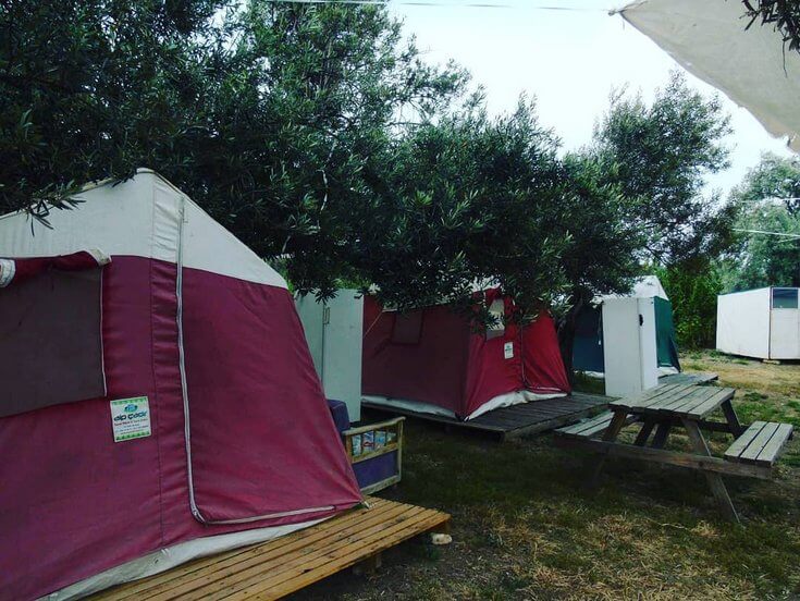 Assos İnci Camping