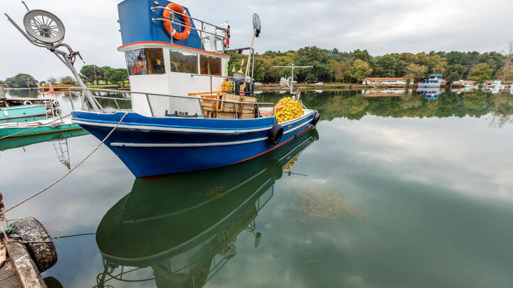 Hamsilos Koyu Nerede
