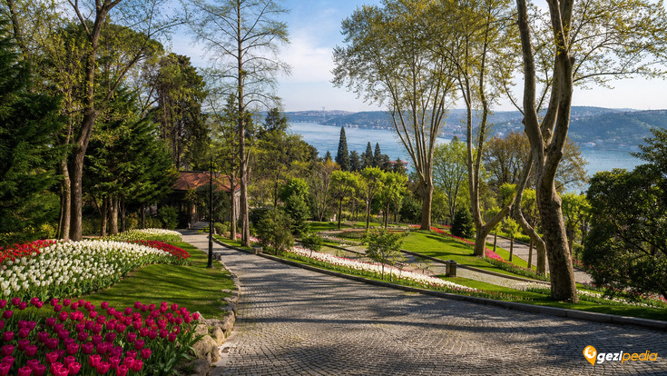Emirgan Korusu