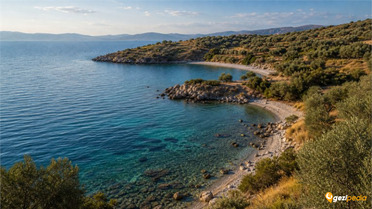 Bademli Koyları, Dikili