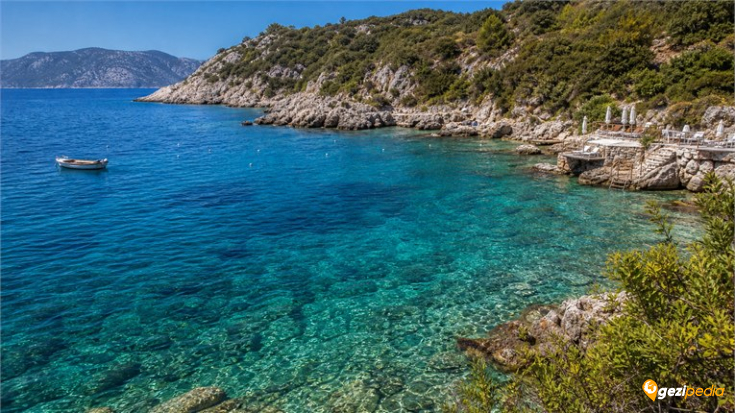 Hidayet Koyu, Kaş