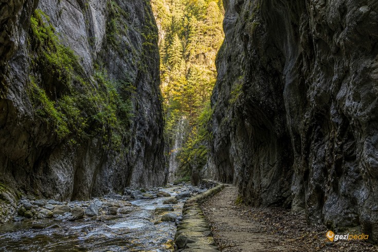 Artvin'de Gezilecek Yerler