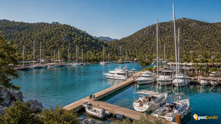 Martı Marina