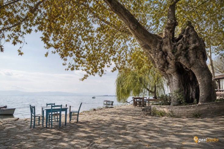 Uluabat Gölü, Gölyazı ve Eskikaraağaç Gezi Rehberi