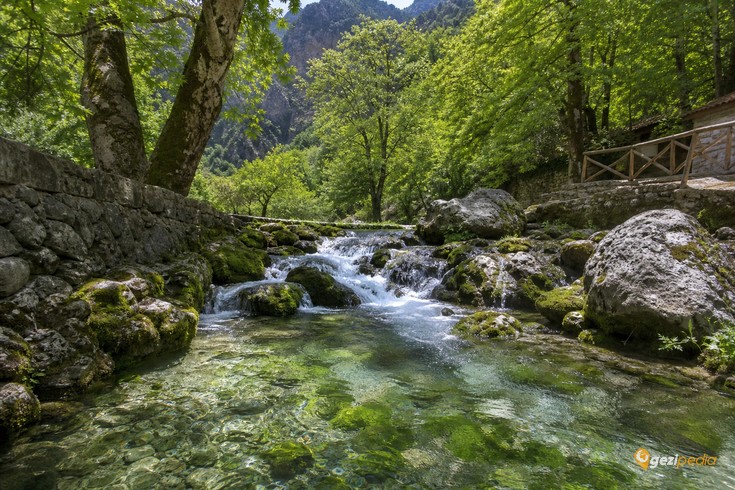 Doğada Suyun Önemi