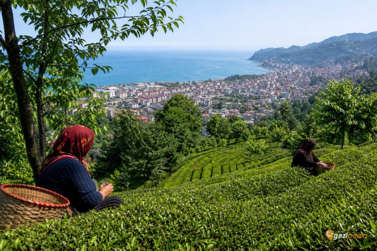 Rize'de Gezilecek Yerler