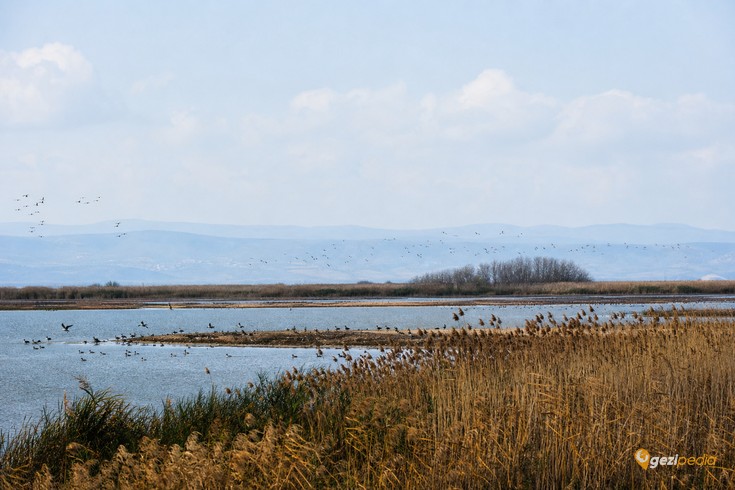 Samsun'da Gezilecek Yerler