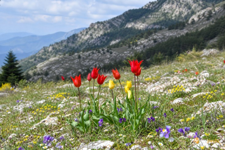 Manisa Spil Dağı Gezi Rehberi