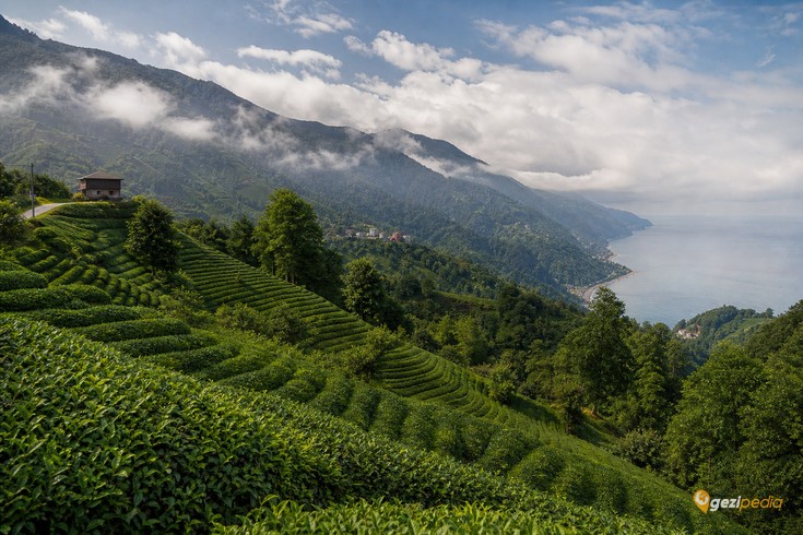 Rize'de Gezilecek Yerler