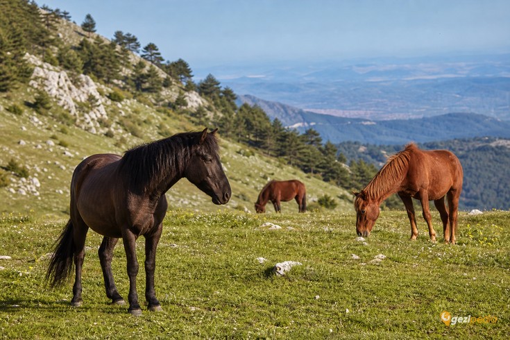 Manisa Spil Dağı Gezi Rehberi