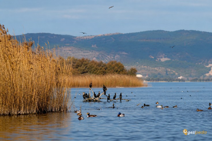 Uluabat Gölü, Gölyazı ve Eskikaraağaç Gezi Rehberi