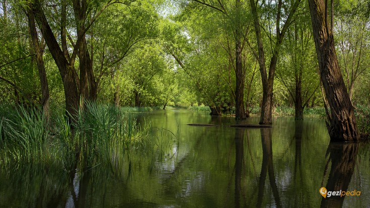 Sapanca’da Gezilecek Yerler