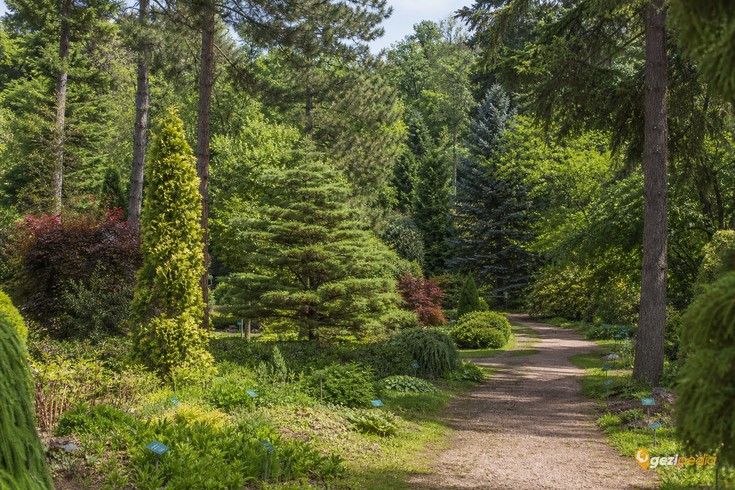 Atatürk Arboretumu
