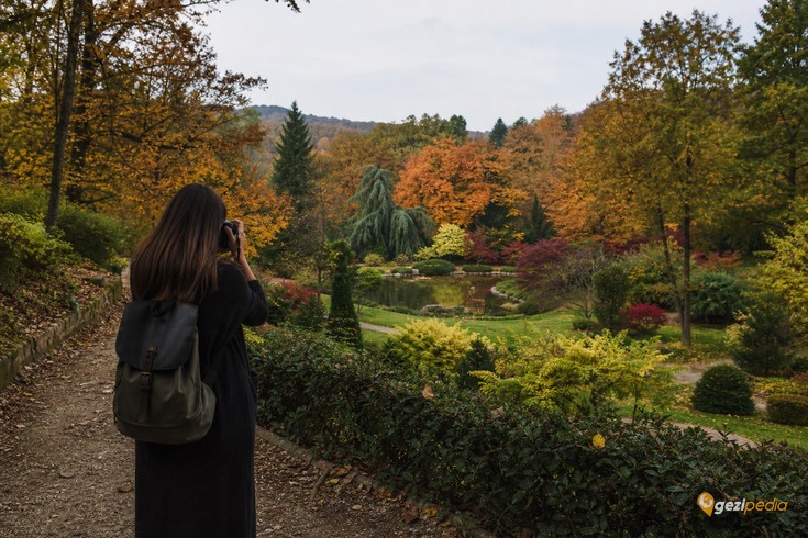 Atatürk Arboretumu