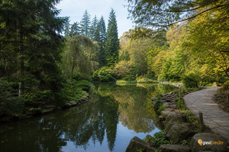Atatürk Arboretumu