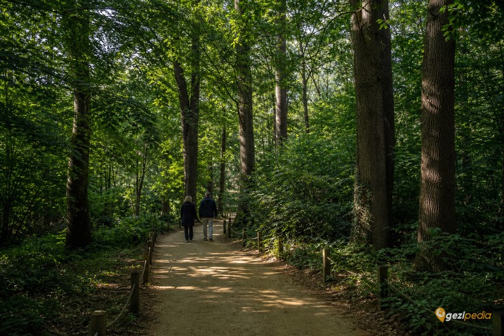 Atatürk Arboretumu