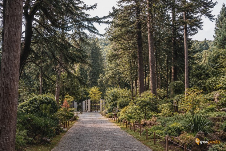 Atatürk Arboretumu