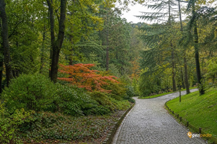 Atatürk Arboretumu