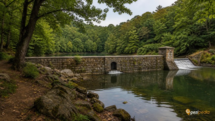 Belgrad Ormanı Tanıtımı